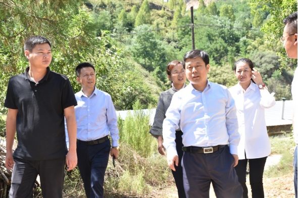 傾情助力新民振興——延農集團領(lǐng)導班子走訪(fǎng)調研蟠龍鎮新民村