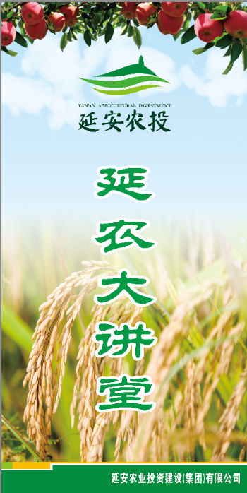 “延農大講堂”開(kāi)講啦 延農集團舉行農投系統培訓會(huì )