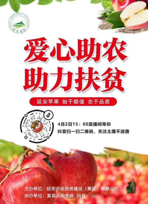 延農集團“愛(ài)心助農助力扶貧”網(wǎng)絡(luò )直播走進(jìn)富縣  ——縣長(cháng)代言家鄉特產(chǎn) 直播助力果農增收
