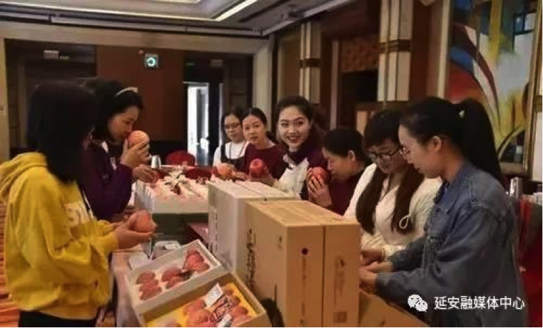 延安蘋(píng)果珠三角品鑒會(huì )在深圳舉行